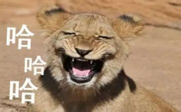 搞笑小学作文8篇