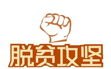 脱贫攻坚心得体会2023年1000字5篇