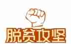 脱贫攻坚心得体会2023年1000字5篇