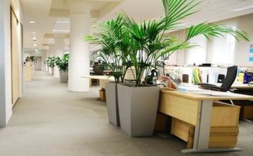 公司年度工作总结与计划8篇