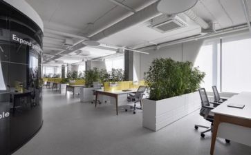 公司债自查报告模板5篇