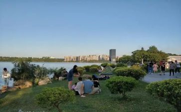 游从台公园作文400字推荐8篇
