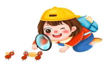 我观察作文400字最新6篇