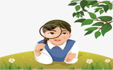植物观察日记作文8篇