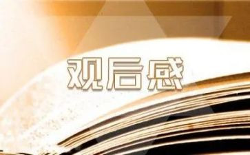 上甘岭观后感作文300字最新8篇