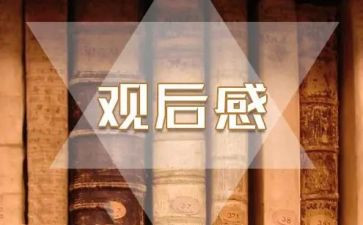 我们的青春我们的团观后感8篇