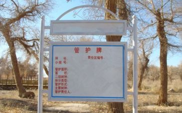 主管护士的工作计划7篇