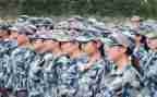 观训申请书范文300字6篇