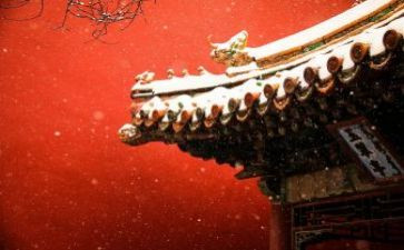 故宫游后感600字作文8篇