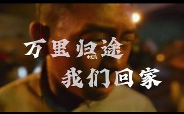 万里归途电影观后感8篇