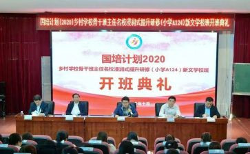 2024国培计划研修总结优质6篇