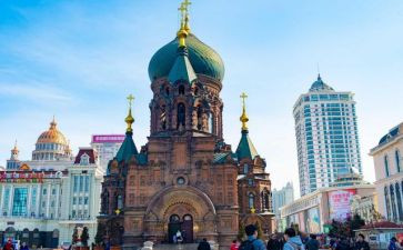 哈尔滨游记作文模板7篇