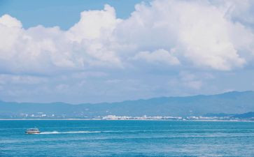 海老人与海的读后感参考7篇