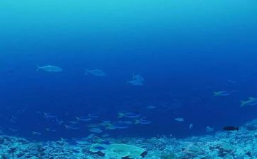 海底捞的心得体会8篇