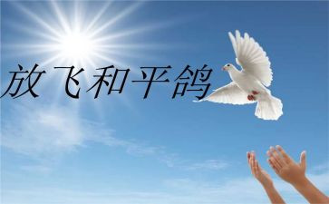战争与和平法读后感6篇
