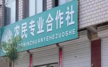 合作社工作总结6篇