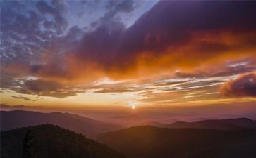 秋天的怀念600字读后感5篇