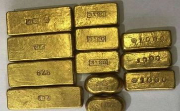 黄金树作文5篇