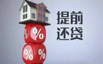延期还货申请书6篇