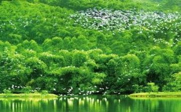 写关于环境的演讲稿模板8篇