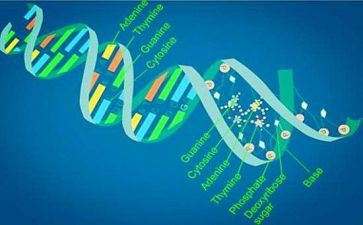 初中理化生组教研计划7篇
