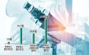 血化验室工作总结8篇