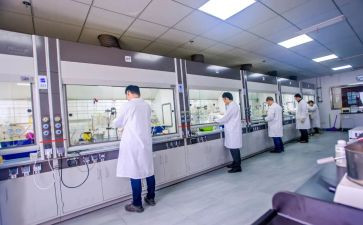 2024年试化验室年终工作总结6篇
