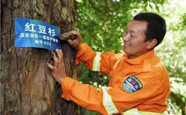 护林员员工作总结精选5篇