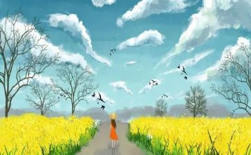 不该被忽略的作文模板7篇