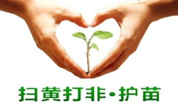 护苗行动2024心得通用6篇