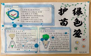 护苗2024心得体会7篇