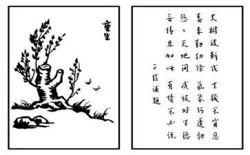 2023保护生态的演讲稿6篇