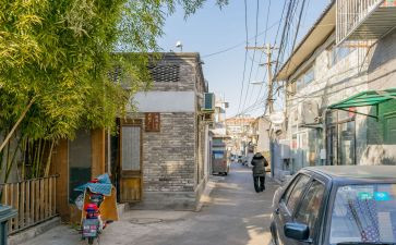 将军胡同的读后感最新7篇