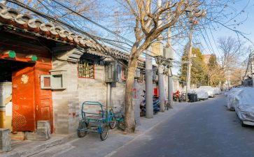 将军的胡同读后感6篇