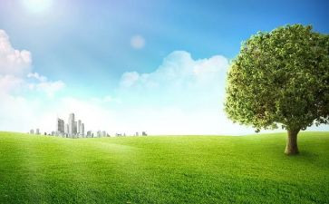 户外游戏安全教育教案5篇