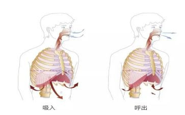 在呼吸科的自我鉴定通用7篇