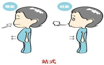 实习在呼吸科自我鉴定最新8篇
