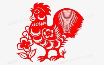 做鸡蛋的作文最新5篇