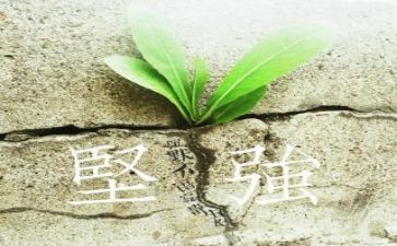 坚强坚强作文6篇