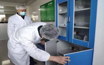 检验师述职报告范文8篇
