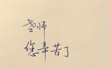 2023教师述职报告精选8篇