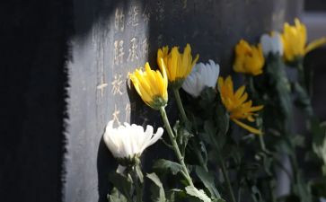 清明节祭奠英烈心得体会8篇