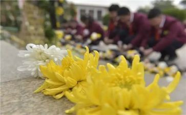 清明节祭奠心得体会6篇