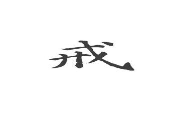力戒形式主义官僚主义心得体会5篇