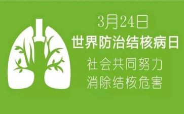结核工作计划8篇