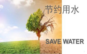 节约演讲稿300字8篇