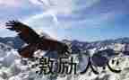 领导激励员工的演讲稿6篇