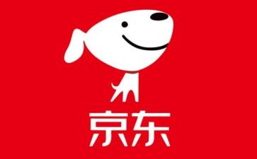 在京东客服实习报告8篇