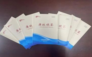 《镜鉴》警示教育片心得6篇