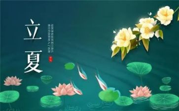 写节气的作文800字7篇